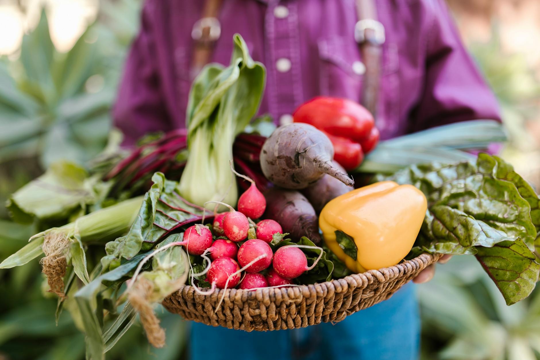 Reclaim Your Health: The DASH & Walking Secret for BP & Diabetes