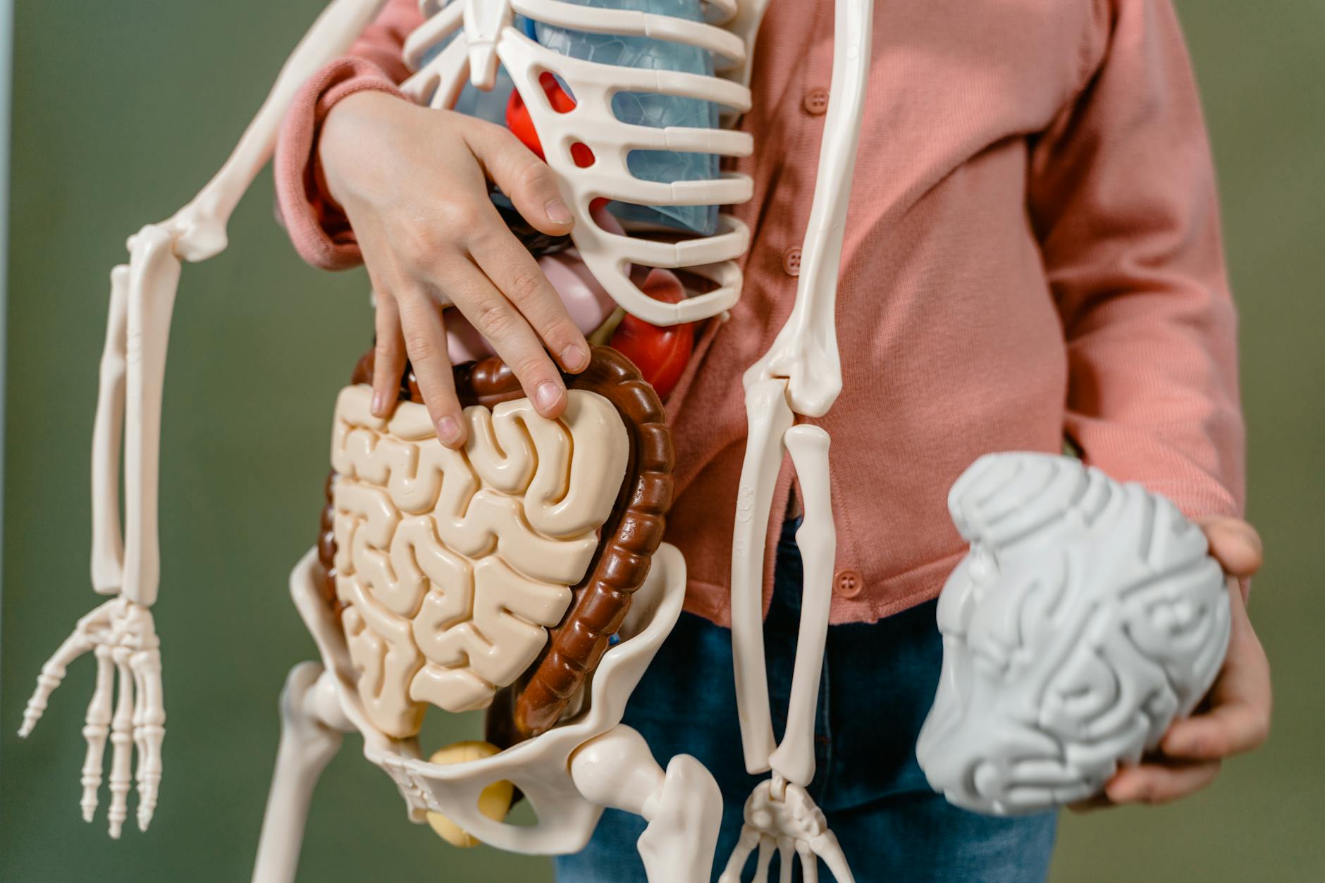 New Diet Guidelines: Fuel Your Heart, Gut, and Metabolism