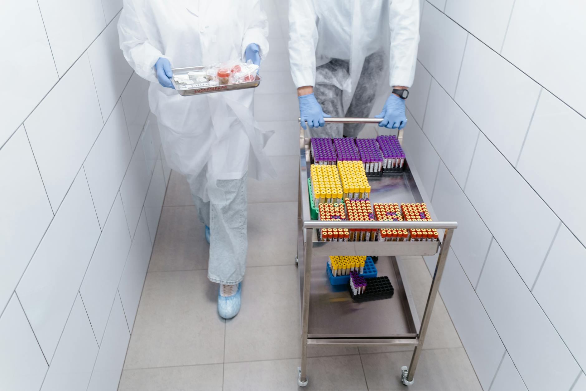 WHO's Pathogen Sharing: Ensuring Global Health Equity